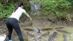 Интересная техника ловли рыбы во Вьетнаме. Откачиваю воду из пруда и ловлю рыбу