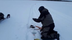 В гостях у Лешего-(1066p30)