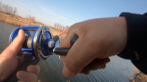 триплет карасей