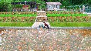 Ловлю рыбу из старого пруда, чтобы выпустить ее в новый. Серия 38. Ли Фук Ви