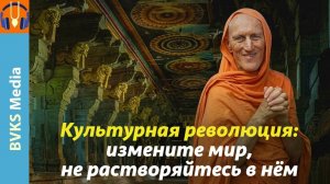 Культурная революция: измените мир, не растворяйтесь в нём — Бхакти Викаша Свами