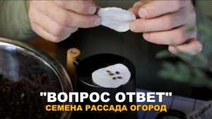 РУБРИКА "ВОПРОС-ОТВЕТ": О семенах, минеральных удобрениях, биопрепаратах и домашнем огороде.