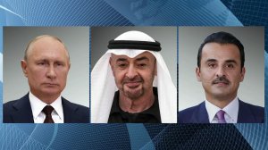 Владимир Путин провел серию телефонных переговоров с лидерами стран Персидского залива.