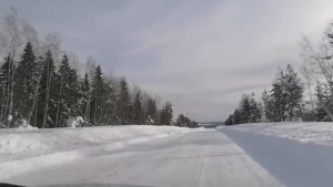 Вот так и живём... Февраль 2026 года. Вторая половина