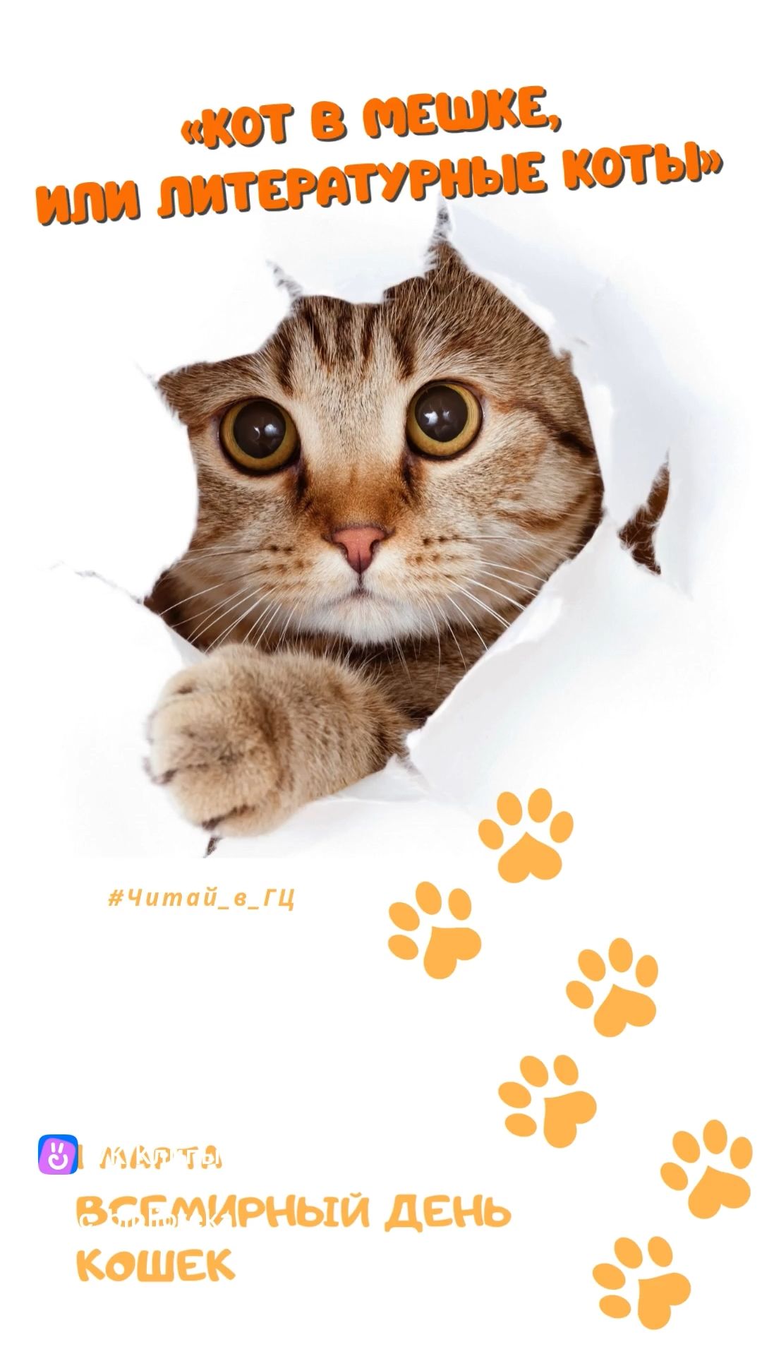 Кошки с книжной обложки