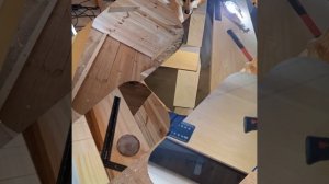 1000049594.mp4 (Собака наблюдает за устройством лестницы на 2-ой этаж в доме А-фрейм)