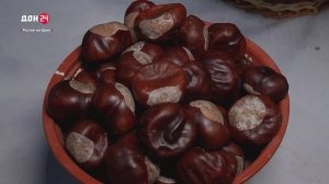 Здесь влюбляют в донской край