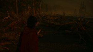 Тайные схроны