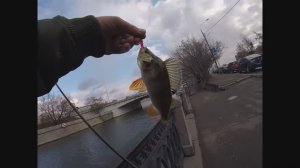 РЫБАЛКА НА МОСКВА РЕКЕ НО КЛЮЕТ НЕ ТОЛЬКО РЫБА🤣🤣🤣 #спиннинг