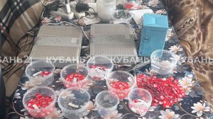 В России пресекли работу более 100 нелегальных каналов связи спецслужб Украины