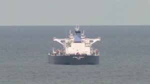 Все новые компании останавливают проход судов через Ормузский пролив.