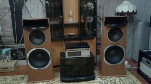 Акустика ОЯ