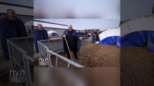 Видео от Департамент Вирусного Контента | ДВК