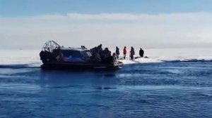 Спасатели сняли с льдины в Финском заливе 230 человек.