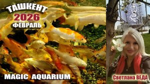ТАШКЕНТ MAGIC AQUARIUM февраль 2026