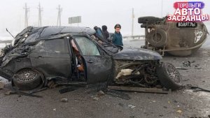 Дорожные Замесы Торопыг и Водятлов! Повезло Бабуле ДТП