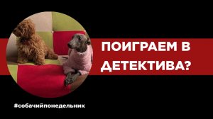 СОБАЧИЙ ПОНЕДЕЛЬНИК