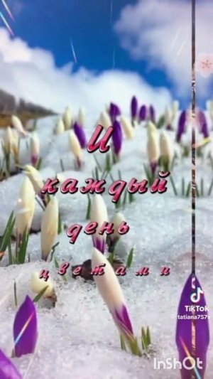 Пришла Весна ! 🌱 Для вас друзья