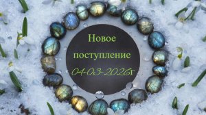 Новое поступление 04-03-2026г