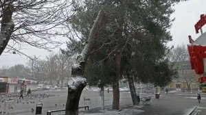 Поездка в Геленджик Декабрь 2025 - январь 2026 года