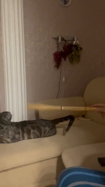 1кв-клубничная1/19