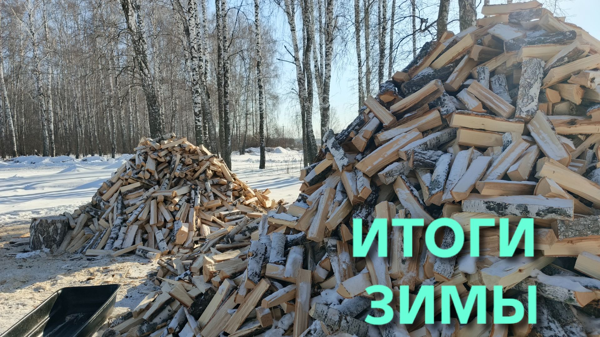 Итоги зимы Дрова наготовил к следующей зиме готов Сухие дрова уже закончились
