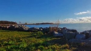 Рассказ о семи повешенных