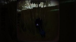 Темновато получилось