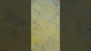 я гуляю с ЛП