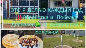 Vlog 🇩🇪 НАША ДАЧА В ГЕРМАНИИ 🏕 Чистка и Побелка Деревьев/Весной Надо Делать Обязательно/Блинчики