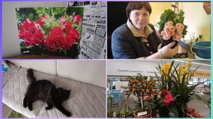 Леруа Мерлен.Первая картина 🌹