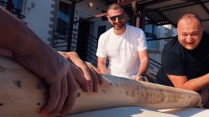 ПРИГОТОВИЛИ ОГРОМНЫЙ ВКУСНЫЙ ХИНКАЛИ