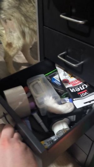 Утраченный артефакт