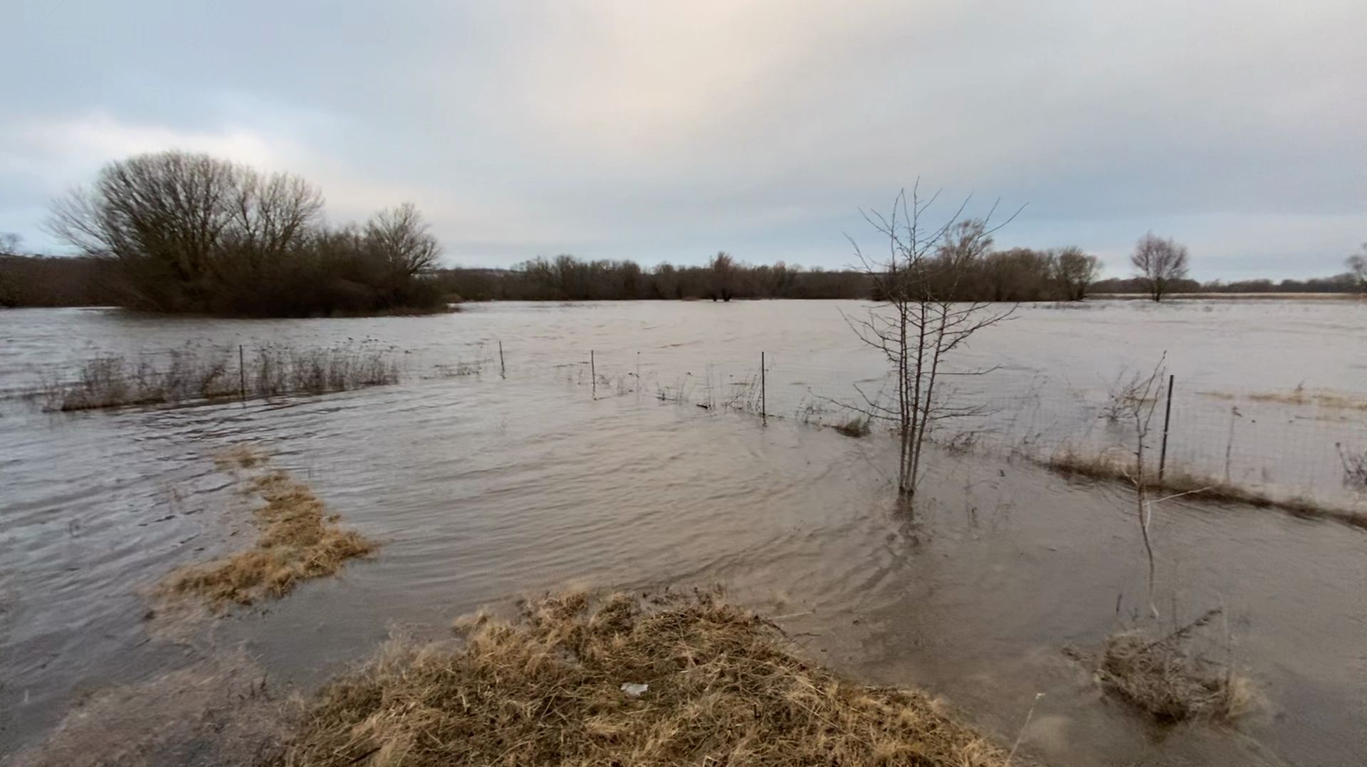 НАС ЗАТОПИЛО🌊ДР СОФИИ🎂🎁🎈🎉СДЕЛАЛИ СТЕЛЛАЖ ДЛЯ РАССАДЫ🔨🌱