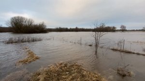 НАС ЗАТОПИЛО🌊ДР СОФИИ🎂🎁🎈🎉СДЕЛАЛИ СТЕЛЛАЖ ДЛЯ РАССАДЫ🔨🌱