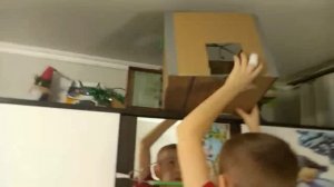 строю дом для попугая