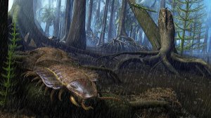 Каменно угольный период 354-290 млн лет назад