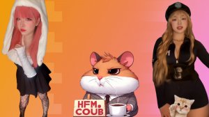 HFM COUB BEST CUBE Coub Приколы 2026 развлекательное шоу, коллекция видео со всего мира