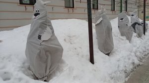 Чехлы-медведи на улицах Москвы