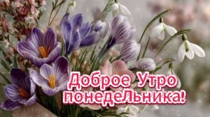 Доброе утро понедельника! 🌞 Старт отличной и продуктивной недели