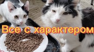 ВСЕ С ХАРАКТЕРОМ