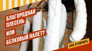 Как отличить плесень от белково-соляного налёта на колбасе? #емколбаски #сыровял