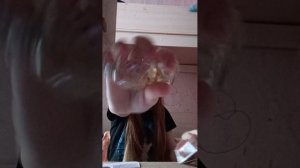 Настя 🐱 🐱 🐱 🐱 🐱