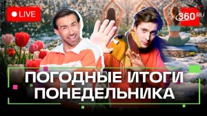 Погода 2 марта и прогноз на завтра. Подмосковье. Прямой эфир на 360
