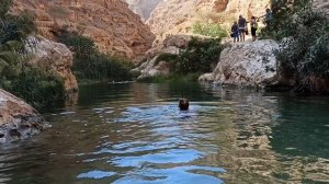 Очень классный Вади Шааб!