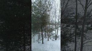 Блюз под снегопад хорошо идёт 👍- 02.03.26
