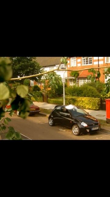 Защита от срущих голубей. Прикольная реклама