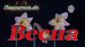 Весна.ЛИРИКА