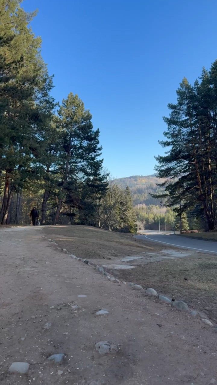 Первый весенний день 2026 г. в Кисловодском парке