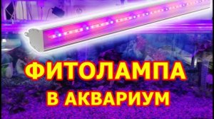 Установка ФИТОЛАМПЫ в 400 литровый аквариум для растений